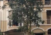 Selling My Thai Villa Phu My Hung
