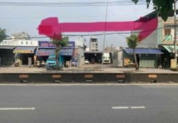 Bán đất mặt tiền Lê Thị Riêng Phường An Thới Quận 12 ngang rộng 21m – 1000m2