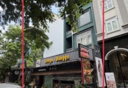 Cho thuê mặt bằng Hưng Phước 2 Phú Mỹ Hưng gồm nhà 5 tầng + 1 lô đất, gần căn góc, ngang 12m