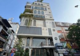 For rent two-frontage building 211 Hoang Sa, Tan Dinh Ward, District 1, 8 floors with basement - 550m2