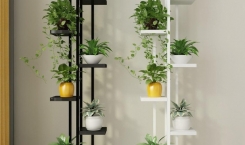 Some tips for layout of feng shui apartments 'welcome' fortune