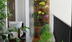   The Owners Feel Healthy When Decorating The Greenerys In The House