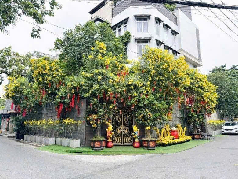 Bán biệt thự ca sĩ Đàm Vĩnh Hưng cư xá Bắc Hải, Quận 10 khu VIP 2 mặt tiền xây 6 tầng, hồ bơi – 378.
