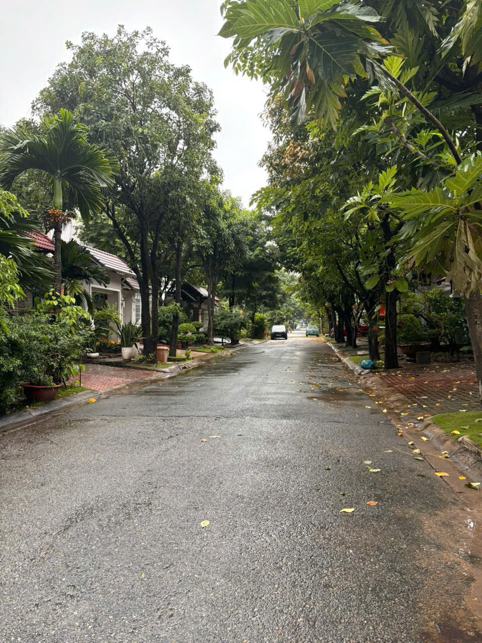 Villas for sale in Compound Nam Phu area, District 7 built 3 floors with 5 bedrooms, next to the river – 264m2 8
