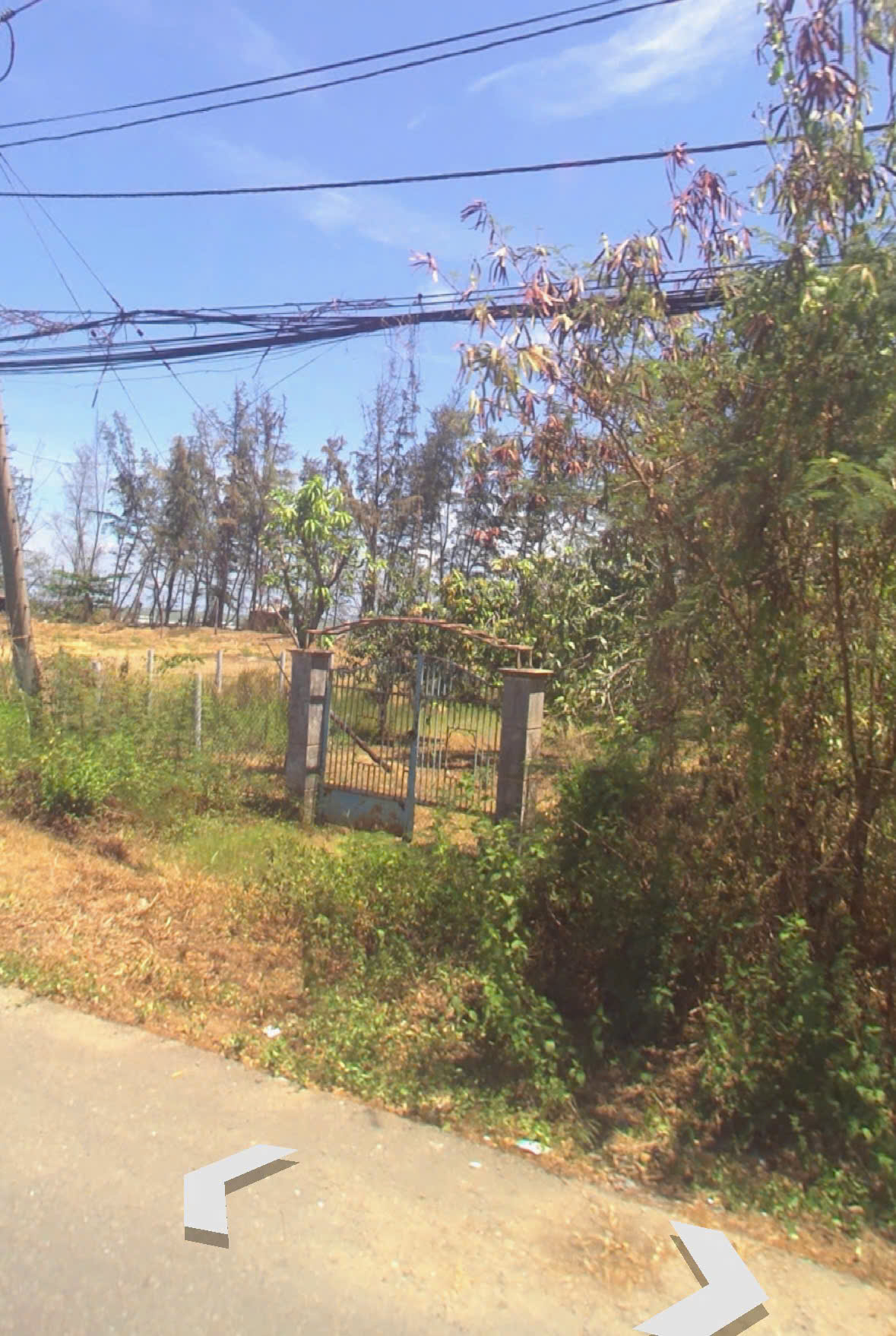 Land for sale in front of Duyen Hai street, Long Hoa, Can Gio near the sea, large area, perennial tree land with 200m2 of residential land 6