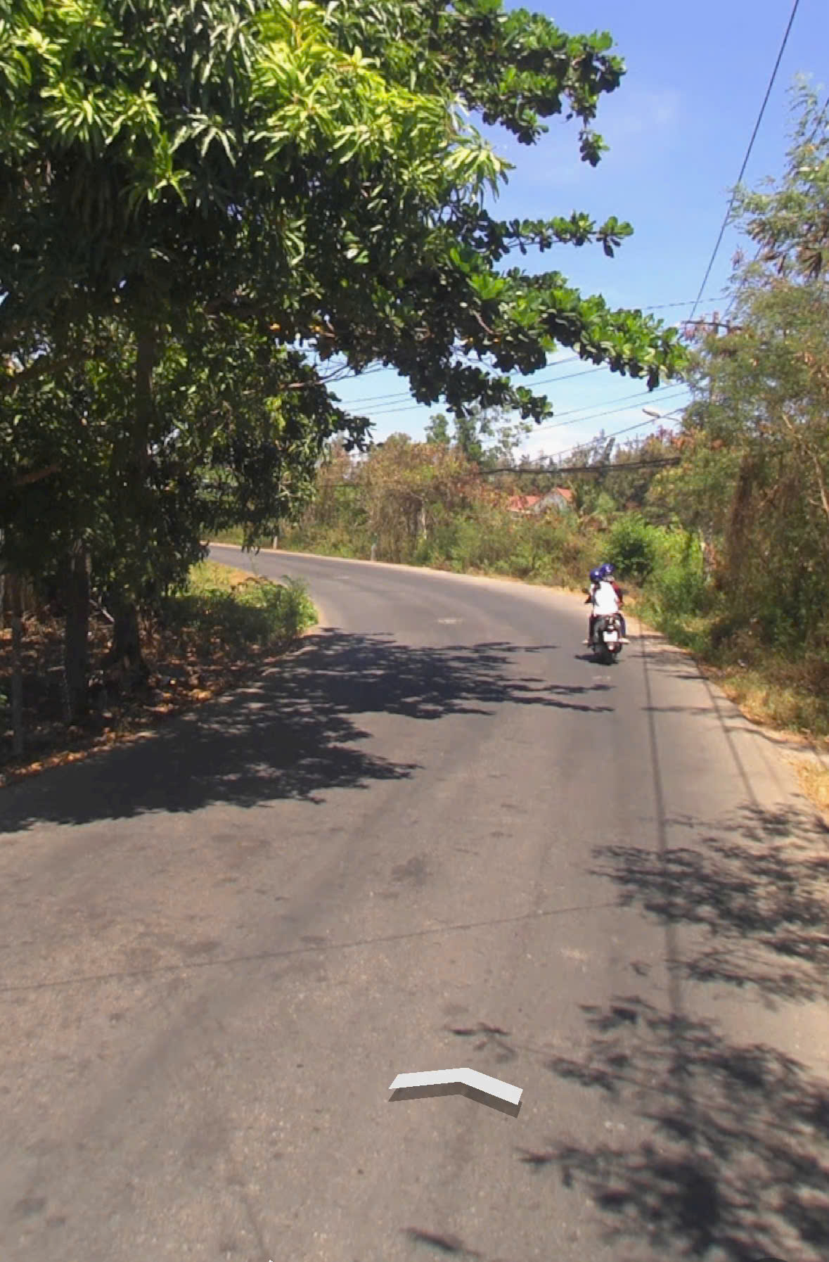 Land for sale in front of Duyen Hai street, Long Hoa, Can Gio near the sea, large area, perennial tree land with 200m2 of residential land 2