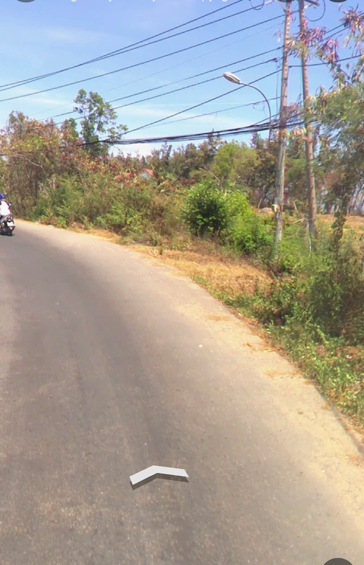 Land for sale in front of Duyen Hai street, Long Hoa, Can Gio near the sea, large area, perennial tree land with 200m2 of residential land 1