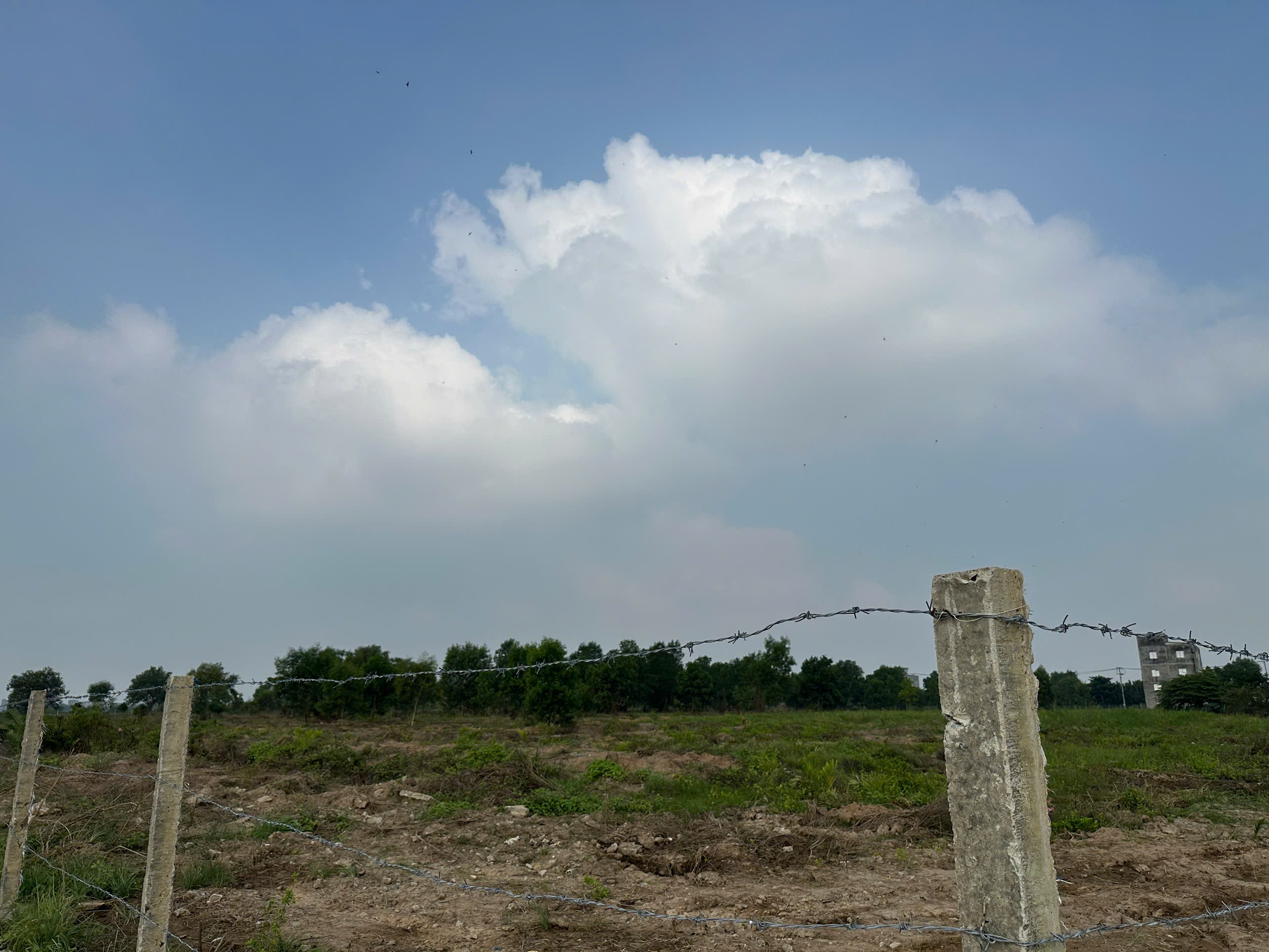 Bán đất mặt tiền Tam Thôn Hiệp và sông Lòng Tàu, Cần Giờ đất thổ cư diện tích lớn – 29.937m2 3