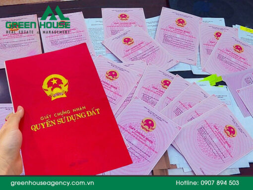 Summary of the list of Long An real estate for sale including many large-area land plots – Month 03/2026