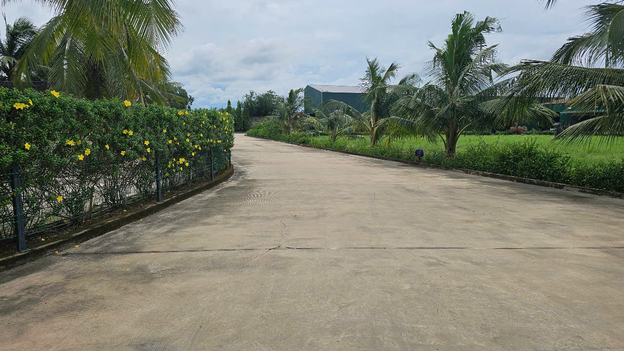 Warehouse for rent in Ben Luc Long An area with battery, fire protection to the wall – 2400m2 2