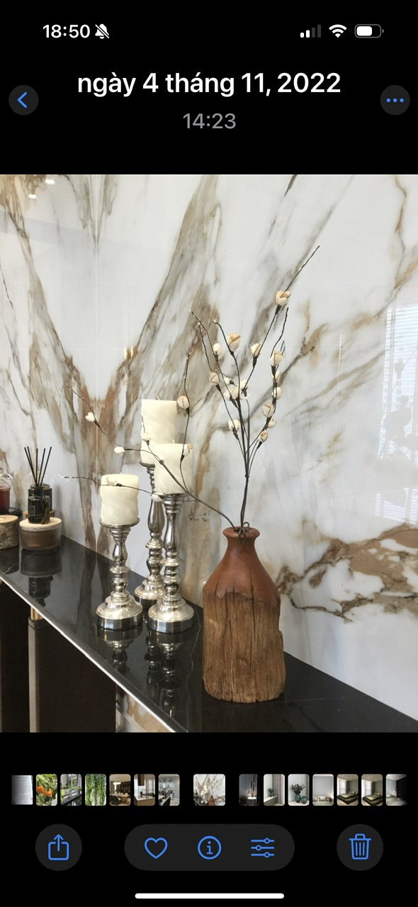 Cho thuê penthouse The Ascentia Phú Mỹ Hưng, Quận 7 thiết kế 4 phòng ngủ nội thất Châu Âu – 240m2 9