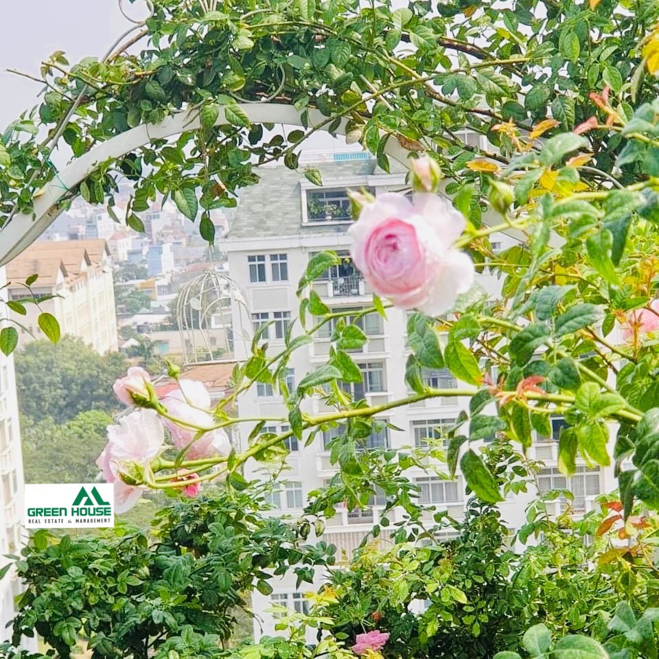 Sell PentHouse Canh Vien Phu My Hung 5