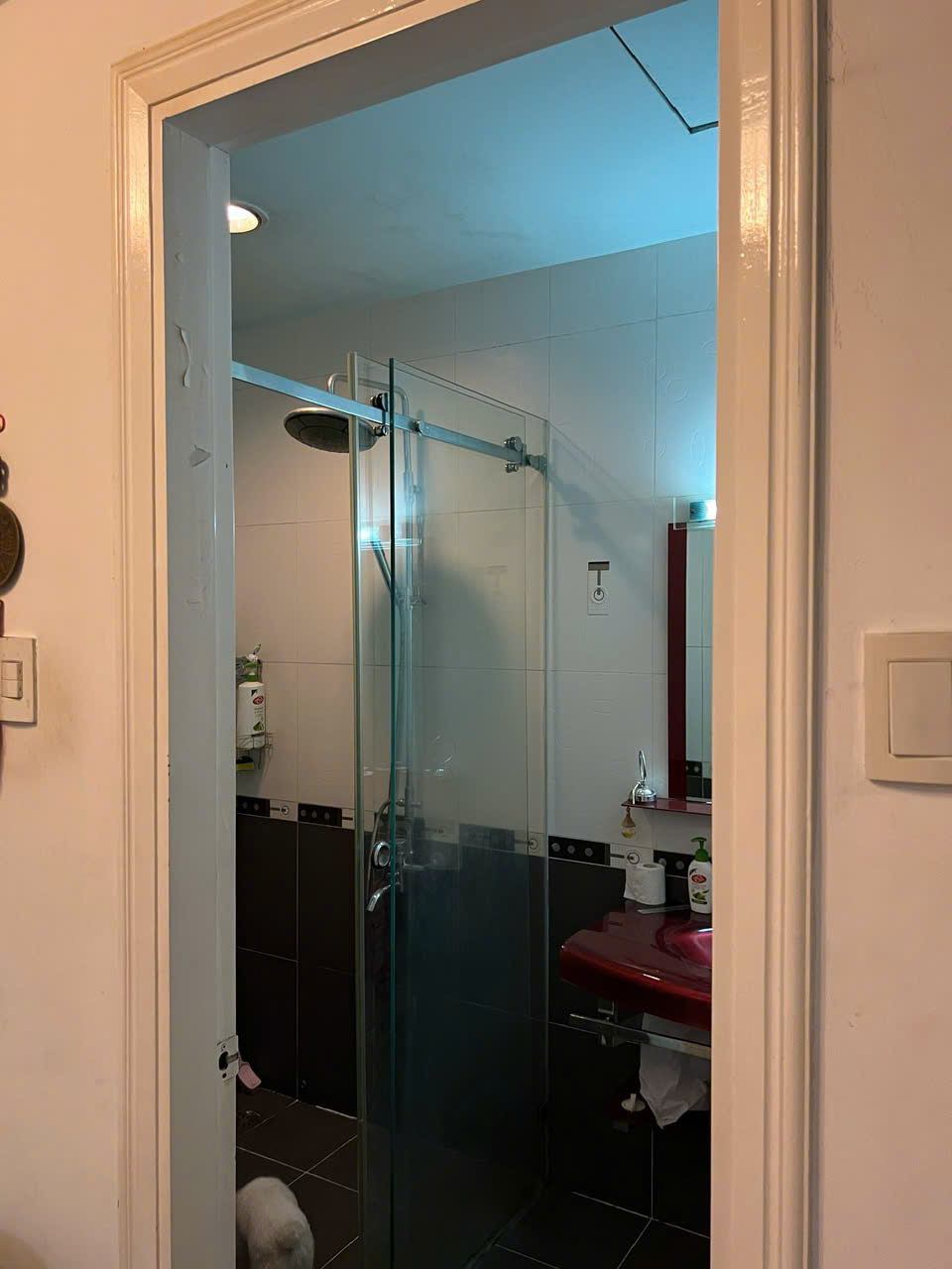 Penthouse for sale Hoang Thap Plaza, Binh Hung, Binh Chanh with 5 bedrooms, Ong Lon river view 6
