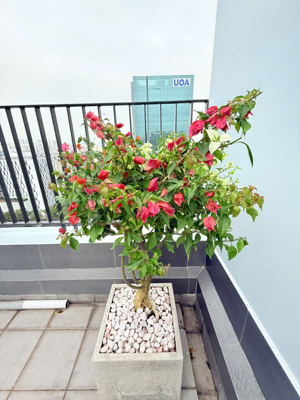 Star Hill penthouse for rent in Phu My Hung, District 7 has 4 bedrooms with high-class furniture, airy terrace 11