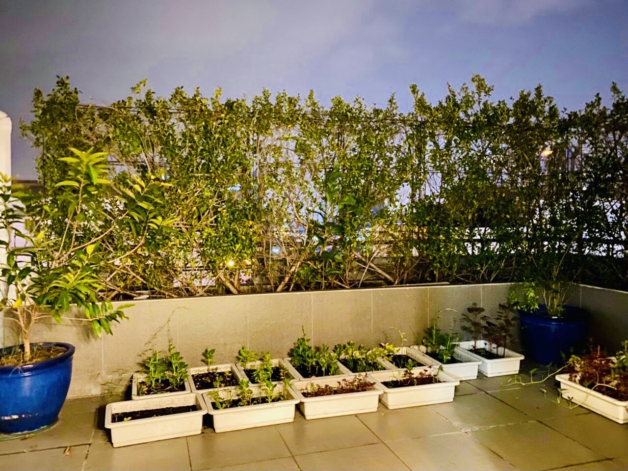 For Sale Penthouse in My khanh 4 - Phu My Hung - District 7 3